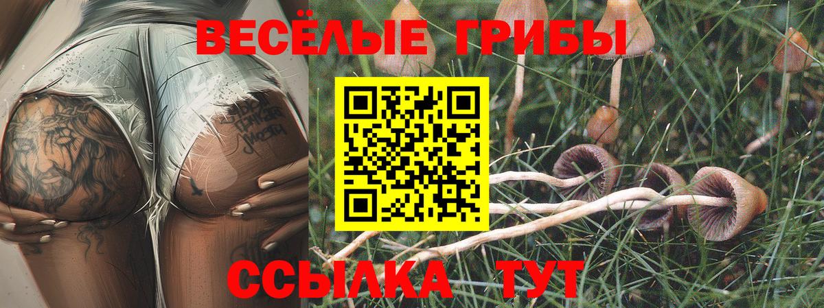 Сочи  Галлюциногенные грибы мицелий  Псилоцибиновые грибы MAGIC MUSHROOMS  Вход с VPN 